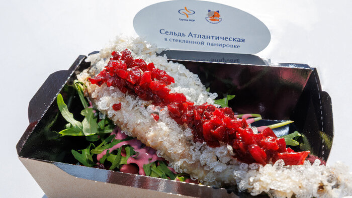 Вкусный бренд Калининграда: как прошёл День селёдки - Новости Калининграда