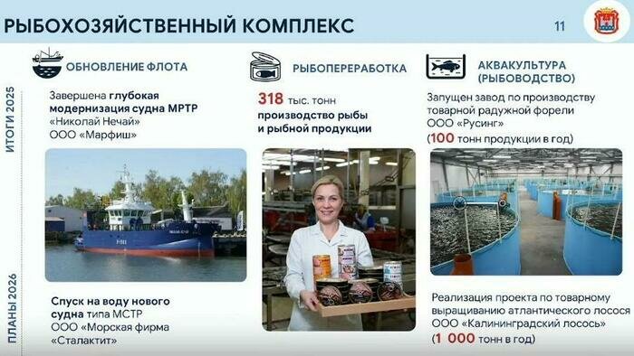 Каждая четвёртая банка российских рыбных консервов производится в Калининградской области - Новости Калининграда | Скриншот видео: трансляция отчёта губернатора / заксобрание Калининградской области