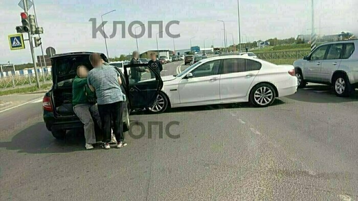 Разгромленное кладбище домашних животных и сбитый велосипедист: 8 событий минувших выходных в Калининграде   - Новости Калининграда | Фото: очевидцы