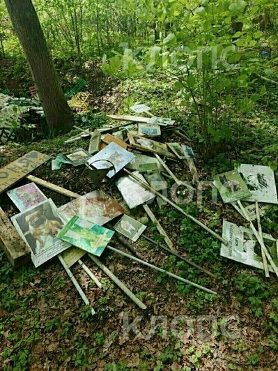 Разгромленное кладбище домашних животных и сбитый велосипедист: 8 событий минувших выходных в Калининграде   - Новости Калининграда | Фото: очевидцы 