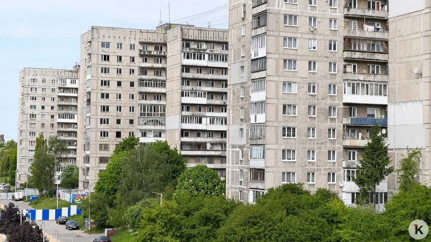 Дятлова объяснила, почему аварийную высотку на Московском нельзя начать разбирать прямо сейчас - Новости Калининграда | Фото: Александр Подгорчук / «Клопс»