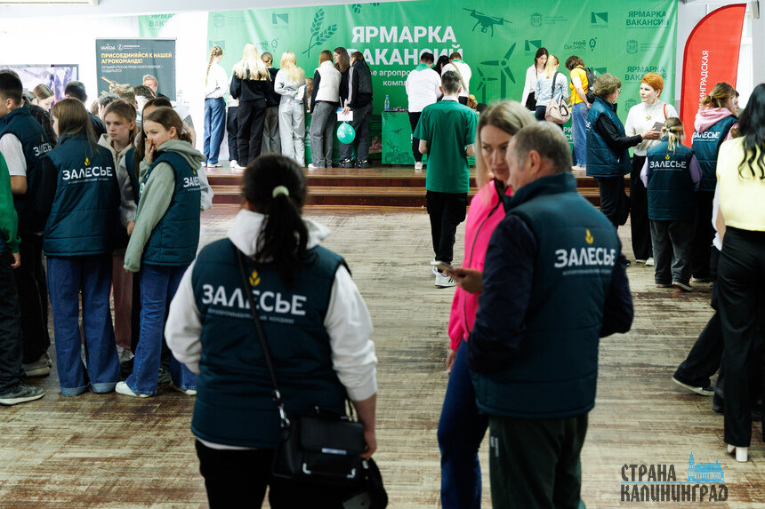Ярмарка вакансий – это возможность найти для себя профессию по душе | Фото: Александр Мелехов