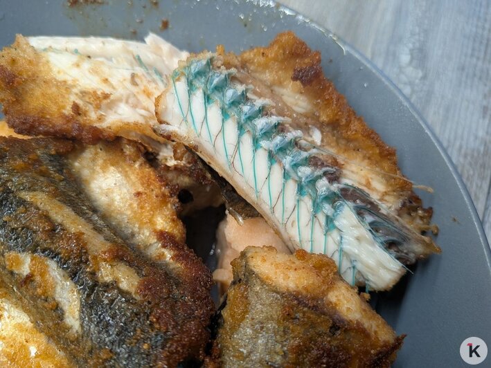 Даже моряки боятся есть этого монстра: как вкусно пожарить саргана, чтобы мясо было нежным, а корочка — хрустящей - Новости Калининграда | Фото: «Клопс»