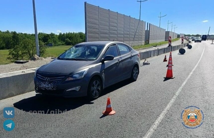 В Калининграде на окружной легковушка сбила ремонтного рабочего - Новости Калининграда | Фото: сообщество Госавтоинспекции Калининградской области / «ВКонтакте»