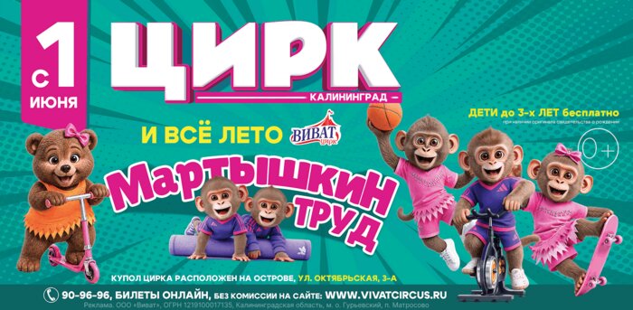 Цирк Vivat откроет в Калининграде летний сезон новым шоу «Мартышкин труд» - Новости Калининграда
