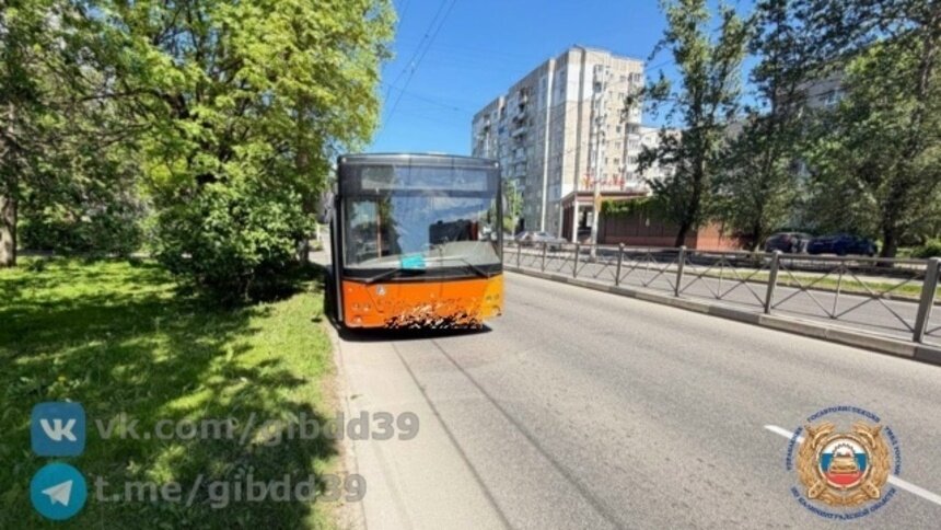 Место ДТП | Фото: Госавтоинспекция Калининградской области