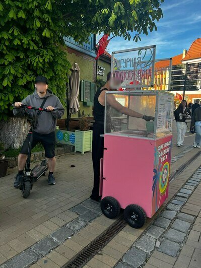 В Зеленоградске провели рейд против незаконной уличной торговли   - Новости Калининграда | Фото: администрация Зеленоградского муниципального округа