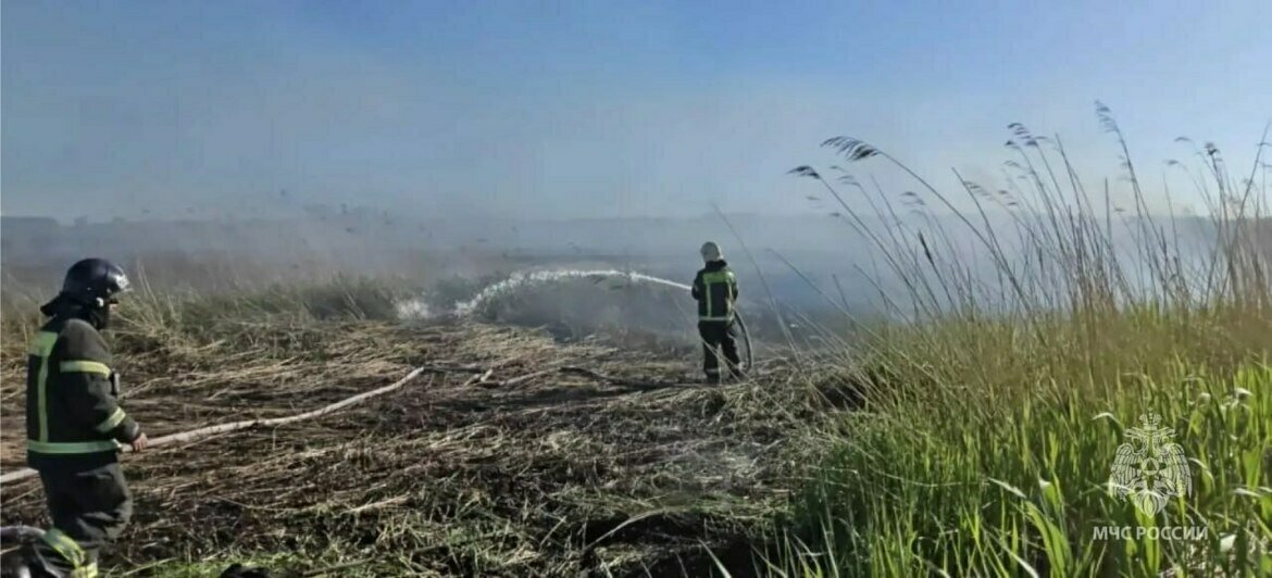 В Калининграде пожарные на лодках добрались до горящего камыша у окружной (фото, видео) - Новости Калининграда | Фото: канал управления МЧС России по Калининградской области / Макс