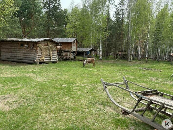 Сибирь, в которой не замёрзнешь: что посмотреть и чем заняться в Тюмени, куда можно улететь из Калининграда (репортаж)   - Новости Калининграда | Фото: София Сафронова / «Клопс»