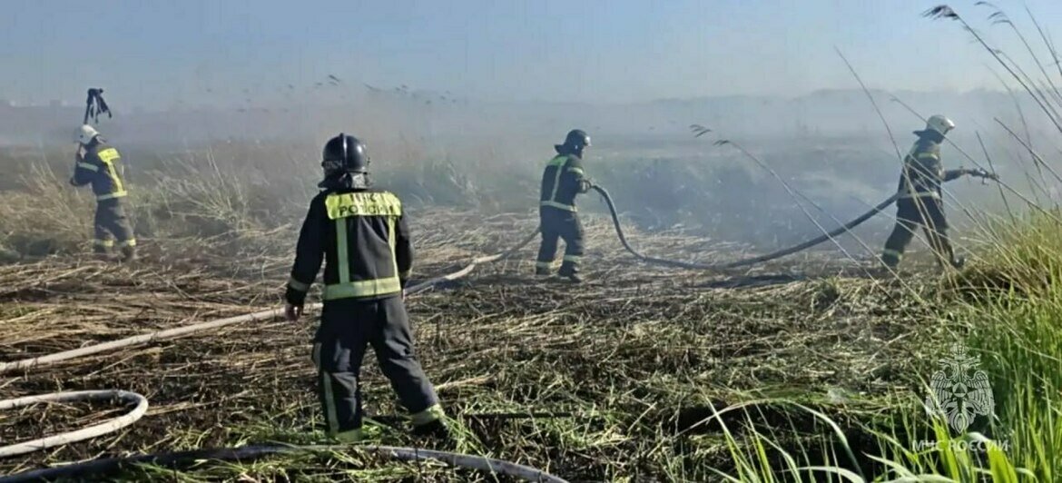 В Калининграде пожарные на лодках добрались до горящего камыша у окружной (фото, видео) - Новости Калининграда | Фото: канал управления МЧС России по Калининградской области / Макс