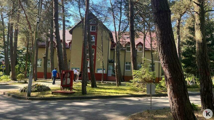 «Дайте жаропонижающее и верните в отряд»: Дятлова — о типичных претензиях родителей, чьи дети отдыхают в лагере   - Новости Калининграда | Фото: «Клопс»
