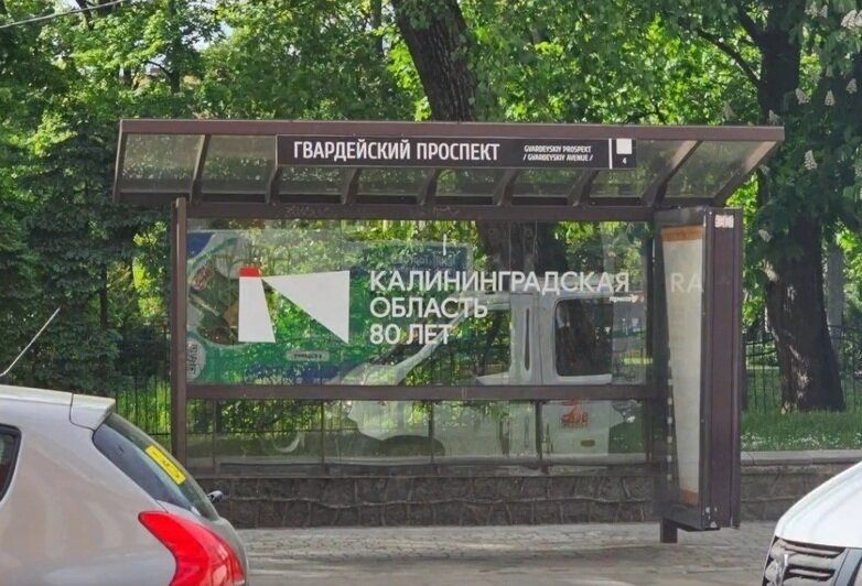 «Это не бренд области, а орнамент для тарелки»: эксперт — о странных символах, заполонивших Калининград и другие города региона   - Новости Калининграда | Фото: видеопроект «Дом Советов»