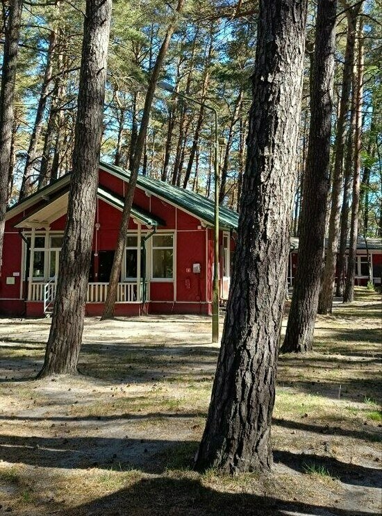 В планах организовать на территории зону приёма детей, где воспитанники могут общаться с родителями. | Фото: архив «Клопс»