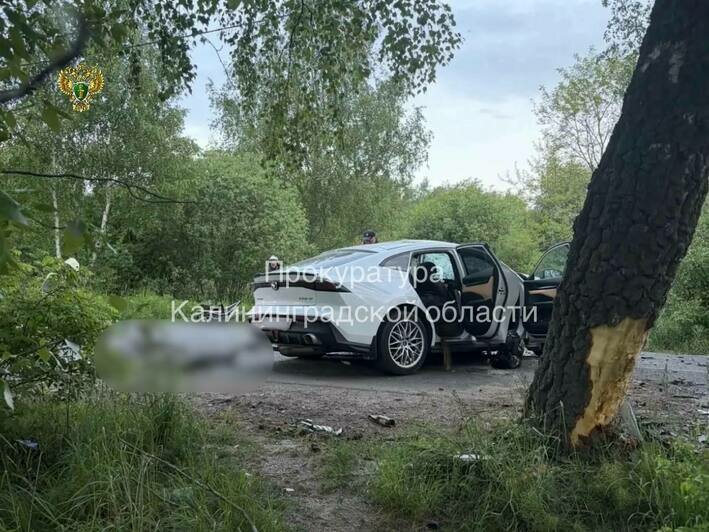 Машина врезалась в берёзу: прокуратура начала проверку после аварии в Светлом, где погибли мужчина и женщина - Новости Калининграда | Фото: канал прокуратуры Калининградской области / Телеграм