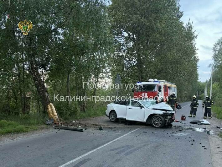 Машина врезалась в берёзу: прокуратура начала проверку после аварии в Светлом, где погибли мужчина и женщина - Новости Калининграда | Фото: канал прокуратуры Калининградской области / Телеграм