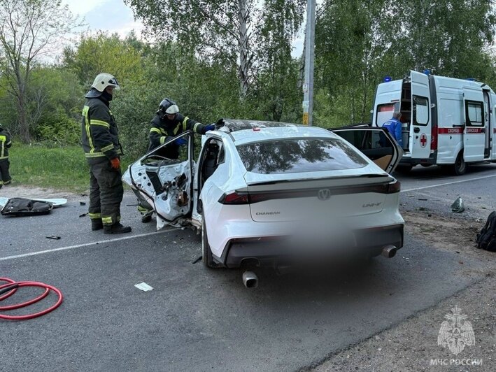 Водитель не справился с управлением, выжившего увезли без сознания: подробности смертельного ДТП в Светлом - Новости Калининграда | Фото: сообщество управления МЧС по Калининградской области / «ВКонтакте»
