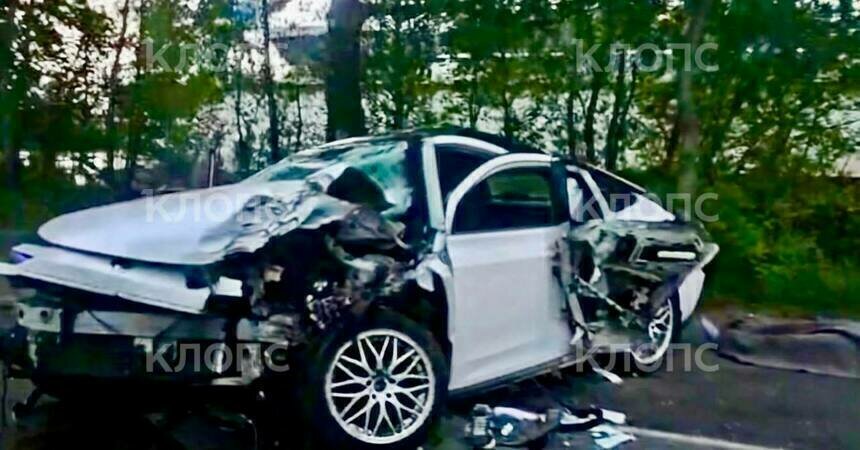 В Светлом машина врезалась в дерево, погибли мужчина и женщина (фото) - Новости Калининграда | Фото: очевидцы