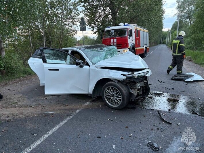 Водитель не справился с управлением, выжившего увезли без сознания: подробности смертельного ДТП в Светлом - Новости Калининграда | Фото: сообщество управления МЧС по Калининградской области / «ВКонтакте»