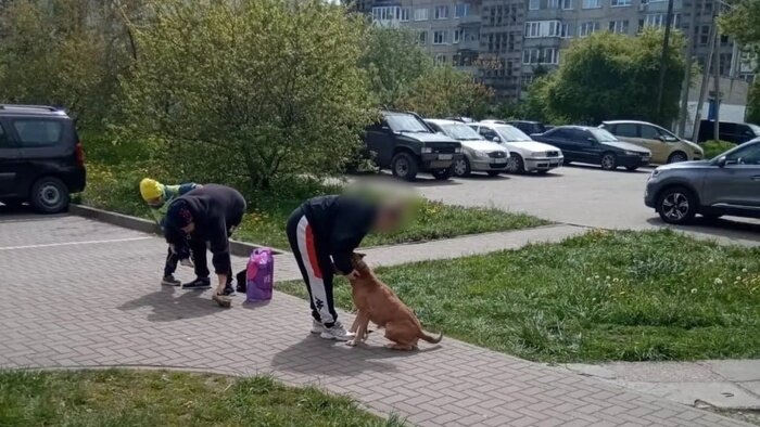 Олеся и её сын сразу после нападения, владелица пытается увести собаку | Фото предоставила Олеся