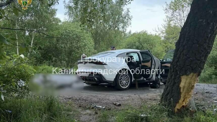 Место ДТП | Фото: прокуратура Калининградской области