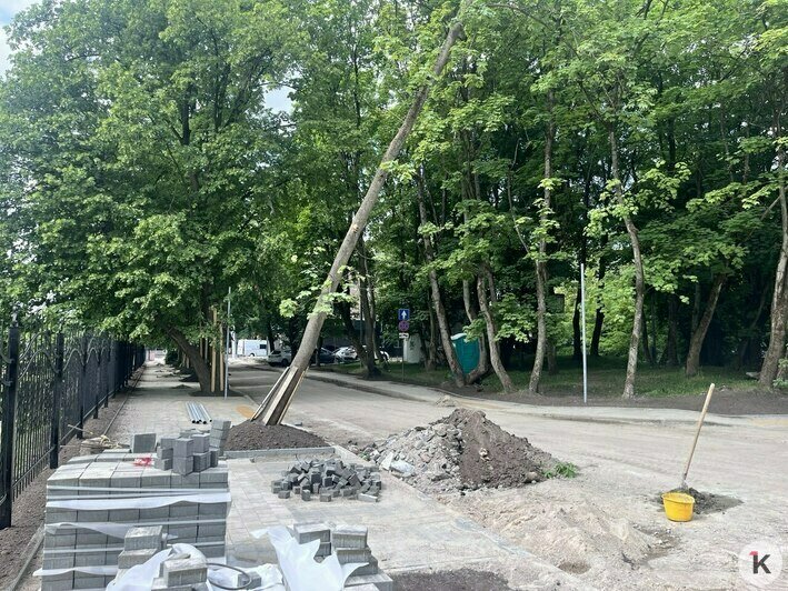 Теперь это не просто проезд: Дятлова рассказала о появлении новой улицы в центре Калининграда (фото) - Новости Калининграда | Фото: «Клопс»