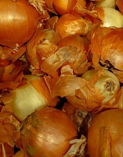Что почём в Зеленоградске: летний обзор цен на продукты в курортных супермаркетах (таблица)   - Новости Калининграда