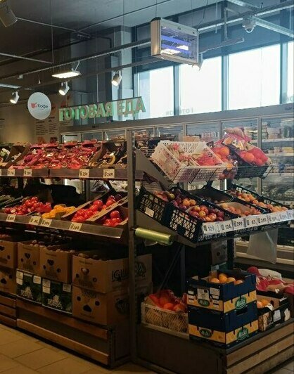 Что почём в Зеленоградске: летний обзор цен на продукты в курортных супермаркетах (таблица)   - Новости Калининграда