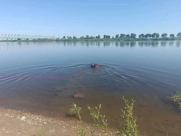 В Советске ищут мужчину, который ушёл купаться в Неман и не выплыл на берег (фото) - Новости Калининграда | Фото: ГУ МЧС по Калининградской области