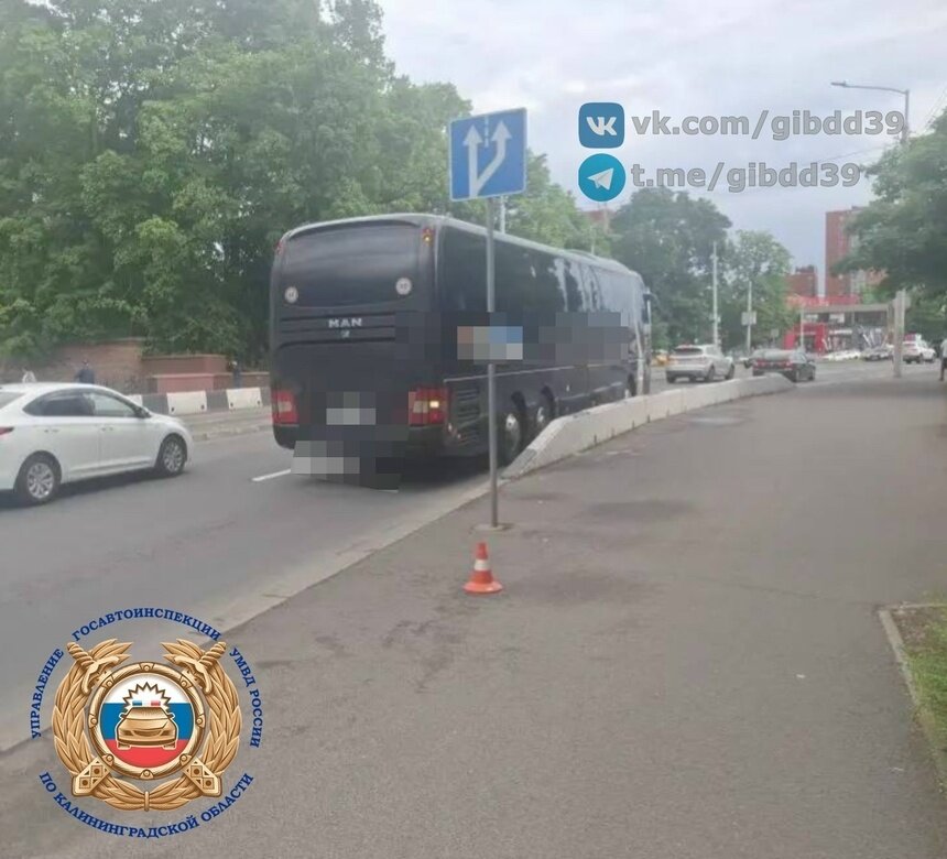 В Калининграде женщина на электросамокате сбила девушку, гулявшую по Невского - Новости Калининграда | Фото: сообщество Госавтоинспекции Калининградской области / «ВКонтакте»