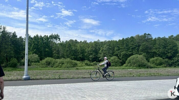 В Калининграде появилась почти идеальная улица, где учли интересы пешеходов, велосипедистов и водителей (фото) - Новости Калининграда | Фото: «Клопс»