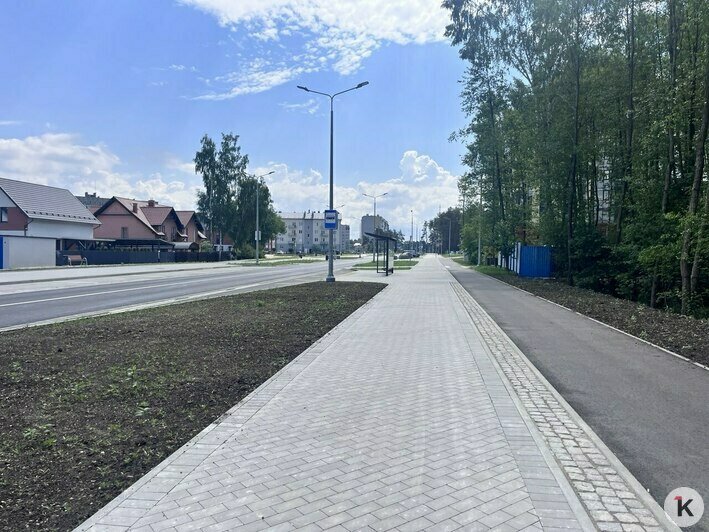 В Калининграде появилась почти идеальная улица, где учли интересы пешеходов, велосипедистов и водителей (фото) - Новости Калининграда | Фото: «Клопс»