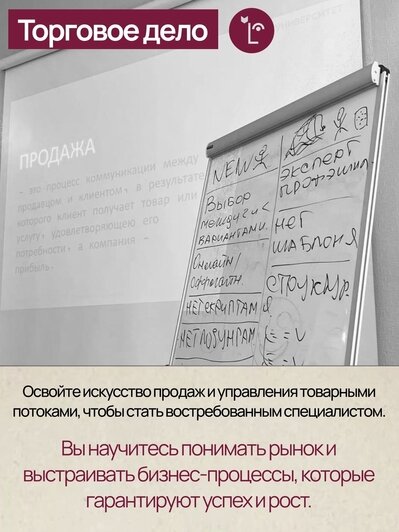Куда пойти учиться в Калининграде: предуниверсарий, колледжи, вузы и новые правила поступления в 2026 году