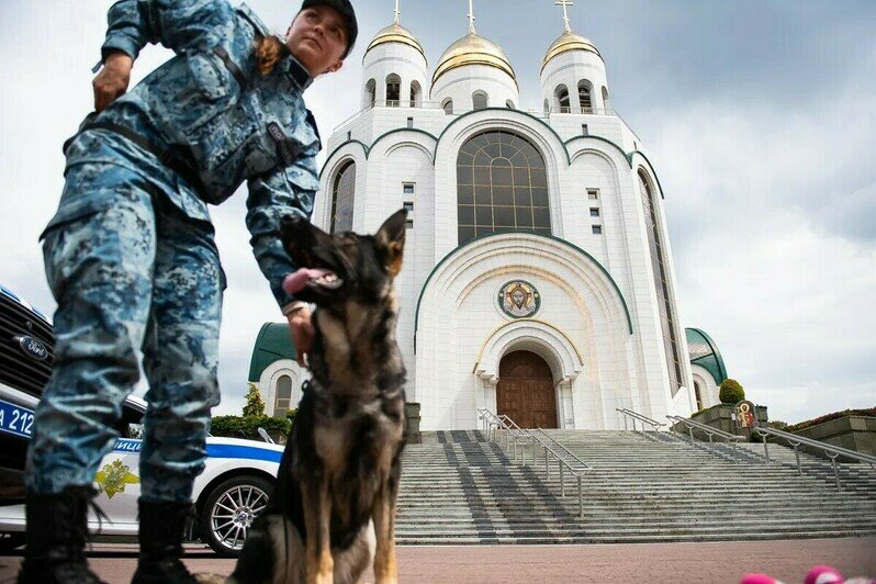 «Один день с полицией»: на площади Победы отметили 308-летие МВД (фоторепортаж) - Новости Калининграда | Фото: Александр Подгорчук / «Клопс»