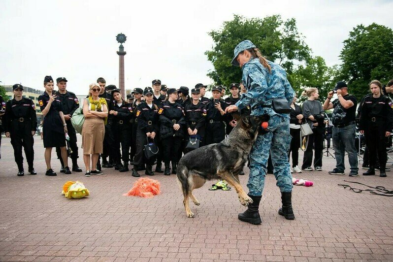 «Один день с полицией»: на площади Победы отметили 308-летие МВД (фоторепортаж) - Новости Калининграда | Фото: Александр Подгорчук / «Клопс»
