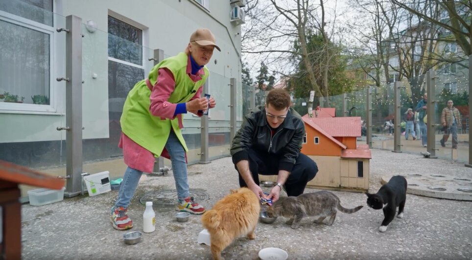 Котошеф, карамель и рейд на Куршской косе: Зеленоградск засветился в трэвел-шоу «Кто куда» (фото)   - Новости Калининграда | Фото: пресс-служба телеканала ТНТ