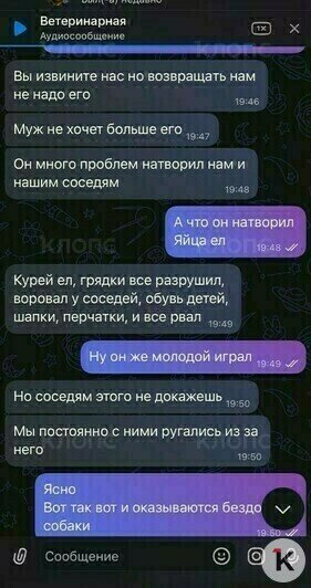 Скриншоты переписки с владелицей Марсика  | Фото: Зоя Шумилова 