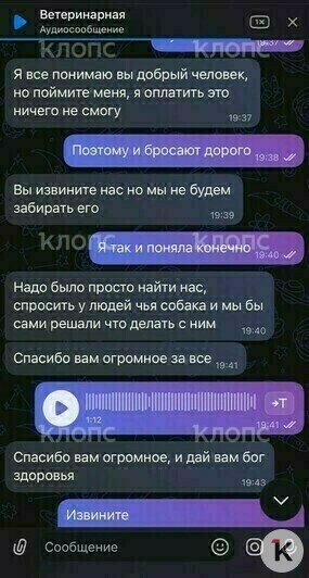 Скриншоты переписки с владелицей Марсика  | Фото: Зоя Шумилова 