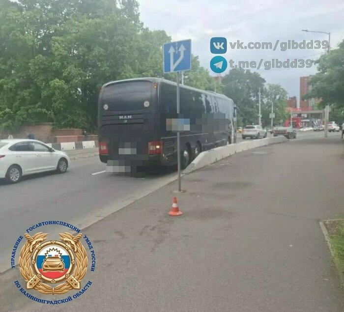 Визит патриарха Кирилла, вандализм в Балтийске и лихачество самокатчиц: 9 событий, которые обсуждали в выходные   - Новости Калининграда | Фото: сообщество Госавтоинспекции Калининградской области «ВКонтакте»
