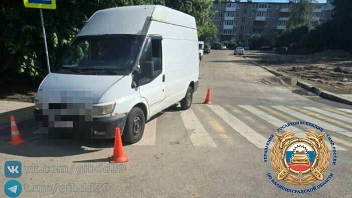 Визит патриарха Кирилла, вандализм в Балтийске и лихачество самокатчиц: 9 событий, которые обсуждали в выходные   - Новости Калининграда | Фото: сообщество Госавтоинспекции Калининградской области / «ВКонтакте»