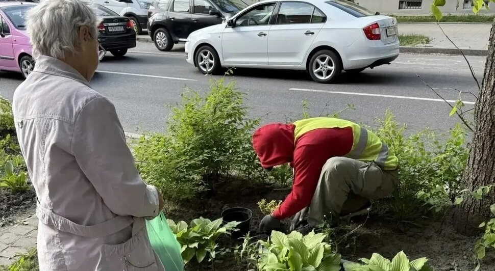 В Калининграде разгорелись страсти из-за цветочной клумбы, которую убрали ради расширения остановки - Новости Калининграда | Фото: Олег Быков