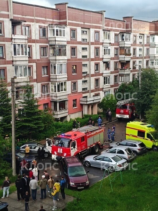 В Калининграде на Ульяны Громовой горела пятиэтажка, из здания вывели человека в наручниках (фото, видео) - Новости Калининграда | Фото: очевидцы