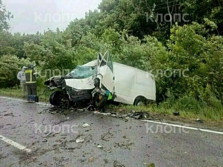 На Люблинском шоссе микроавтобус врезался в дерево, водитель погиб (обновлено) - Новости Калининграда | Фото: очевидцы