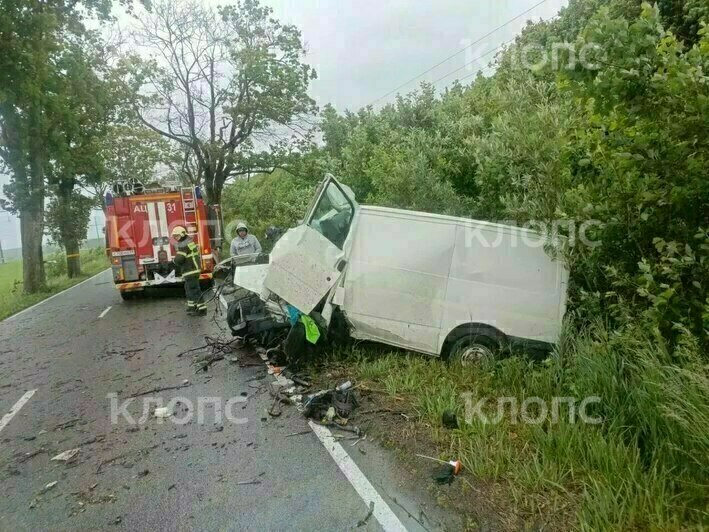 На Люблинском шоссе микроавтобус врезался в дерево, водитель погиб (обновлено) - Новости Калининграда | Фото: очевидцы