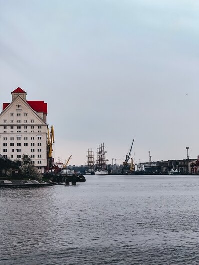 Калининград поёт голосом Алисы Фрейндлих, а Балтийск — Олега Газманова: гид составила плейлист городов региона                                                                                          - Новости Калининграда | Фото: из архива Александры Вишняускене