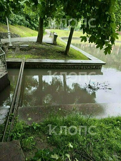 Блэкаут в Калининградской области и пожар в пятиэтажке: 11 событий, которые обсуждали в длинные выходные   - Новости Калининграда | Фото: очевидцы