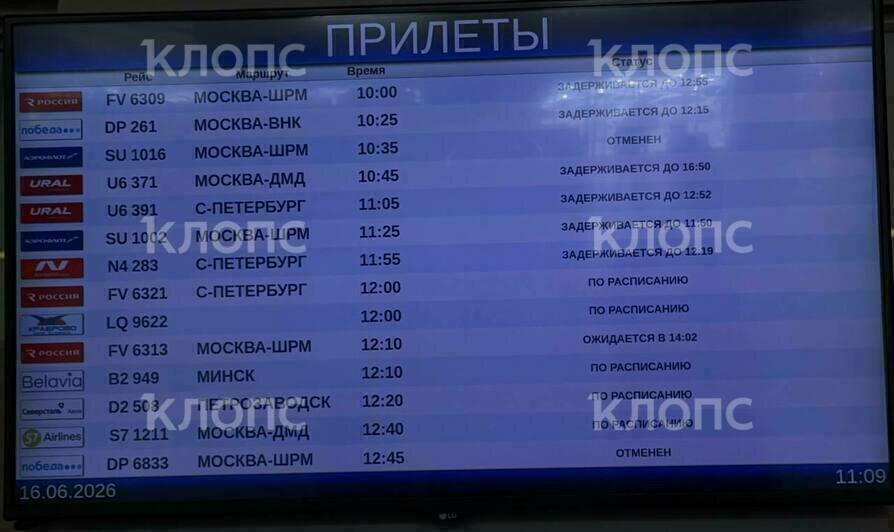 В Храброво из-за задержек рейсов собрались очереди у стоек авиакомпаний (фото) - Новости Калининграда | Фото: очевидцы