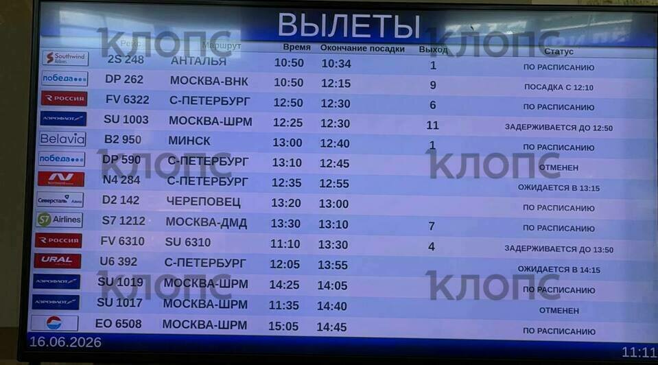В Храброво из-за задержек рейсов собрались очереди у стоек авиакомпаний (фото) - Новости Калининграда | Фото: очевидцы