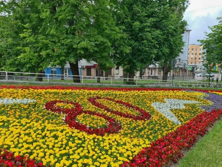 К юбилею Калининграда делают тематические клумбы | Фото: соцсети Елены Дятловой