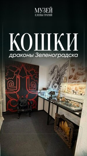 Патриотизм в действии: музей Елены Гратий открыл бесплатный вход для участников СВО и их семей - Новости Калининграда