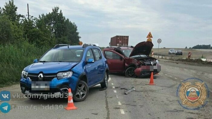 Лошадь-потеряшка, пробки на выезд к морю и подозрительный зелёный рюкзак: 7 событий, которые обсуждали в выходные   - Новости Калининграда | Фото: сообщество Госавтоинспекции Калининградской области / «ВКонтакте»